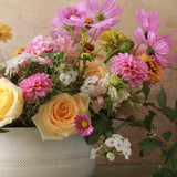 GARDEN OF APHRODITE