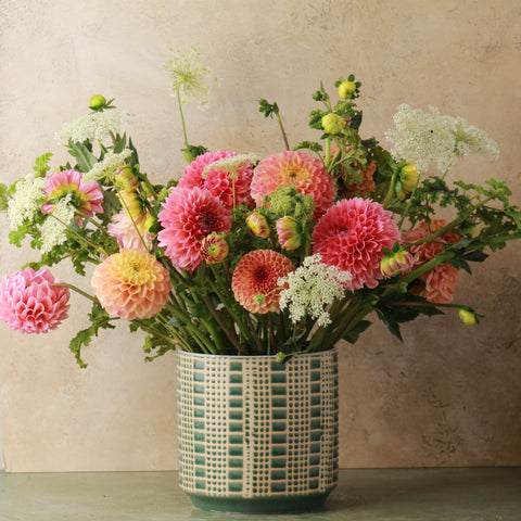 DAHLIA SIGNATURE - DELUXE