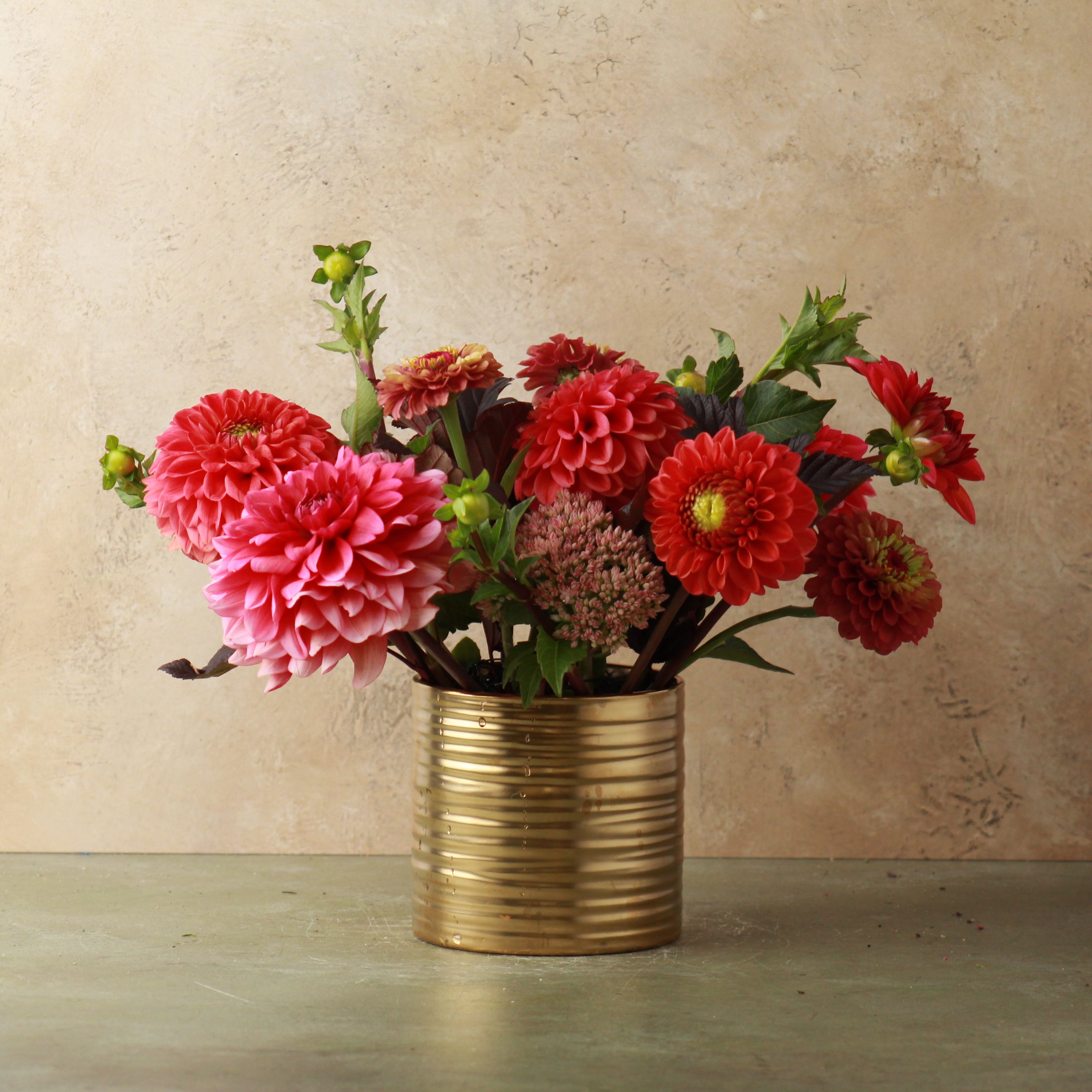 DAHLIA SIGNATURE