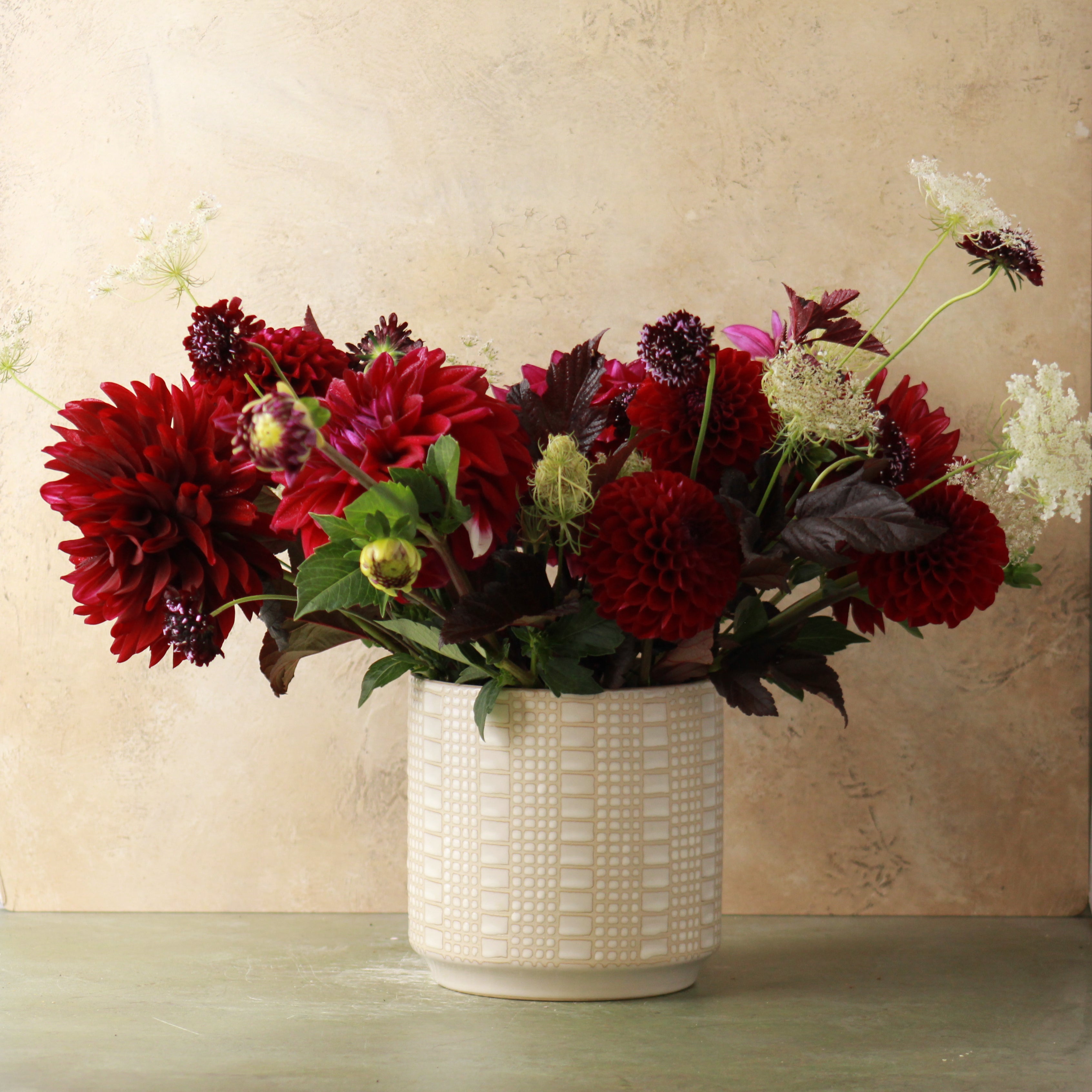 DAHLIA SIGNATURE - DELUXE