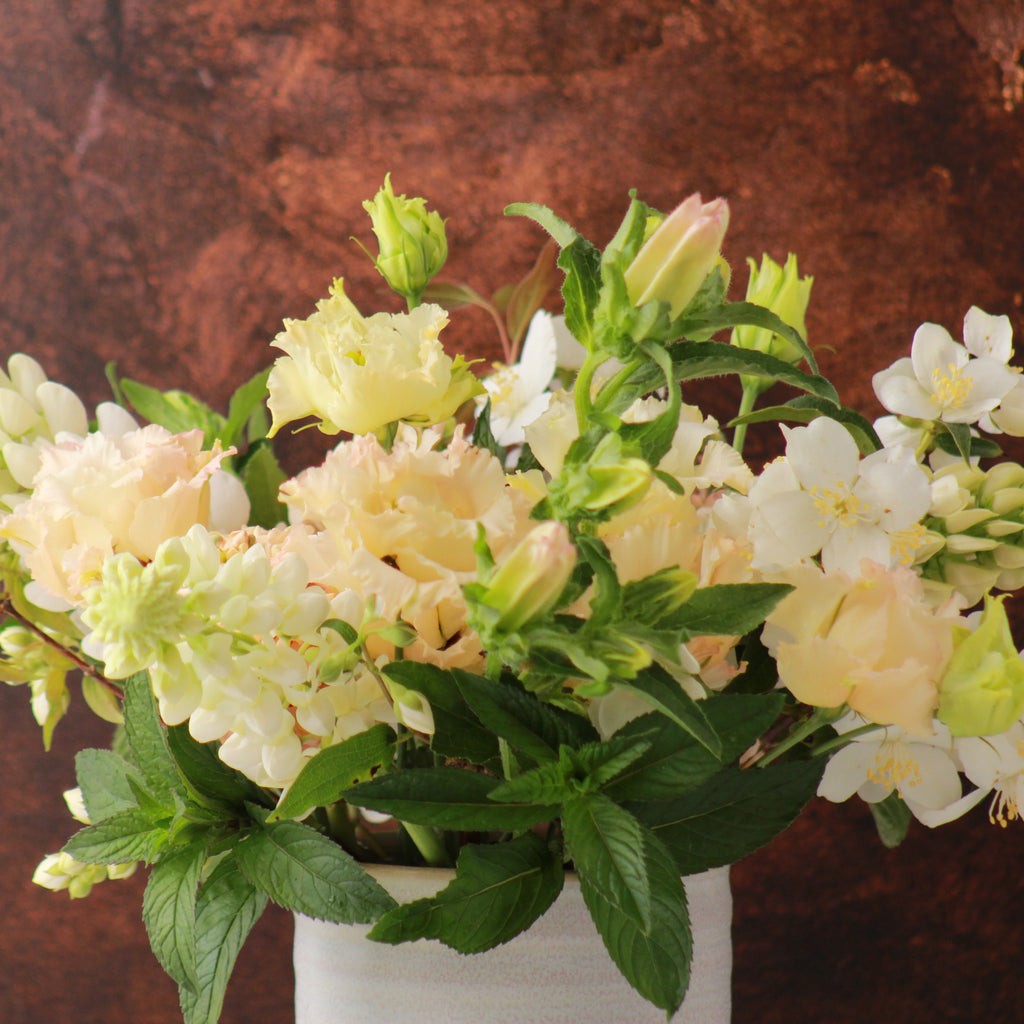 TRAVERTINE