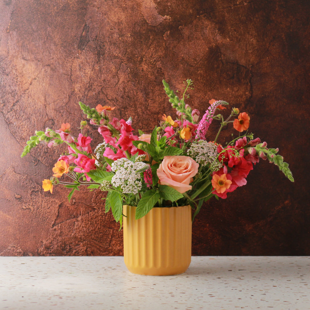 APRICOT FRIZZANTE
