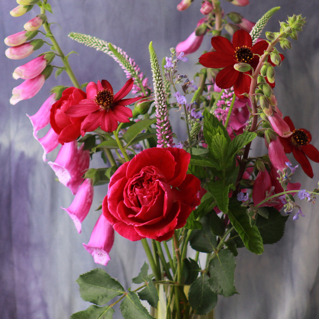 DESIGNER SPOTLIGHT- HEATHER