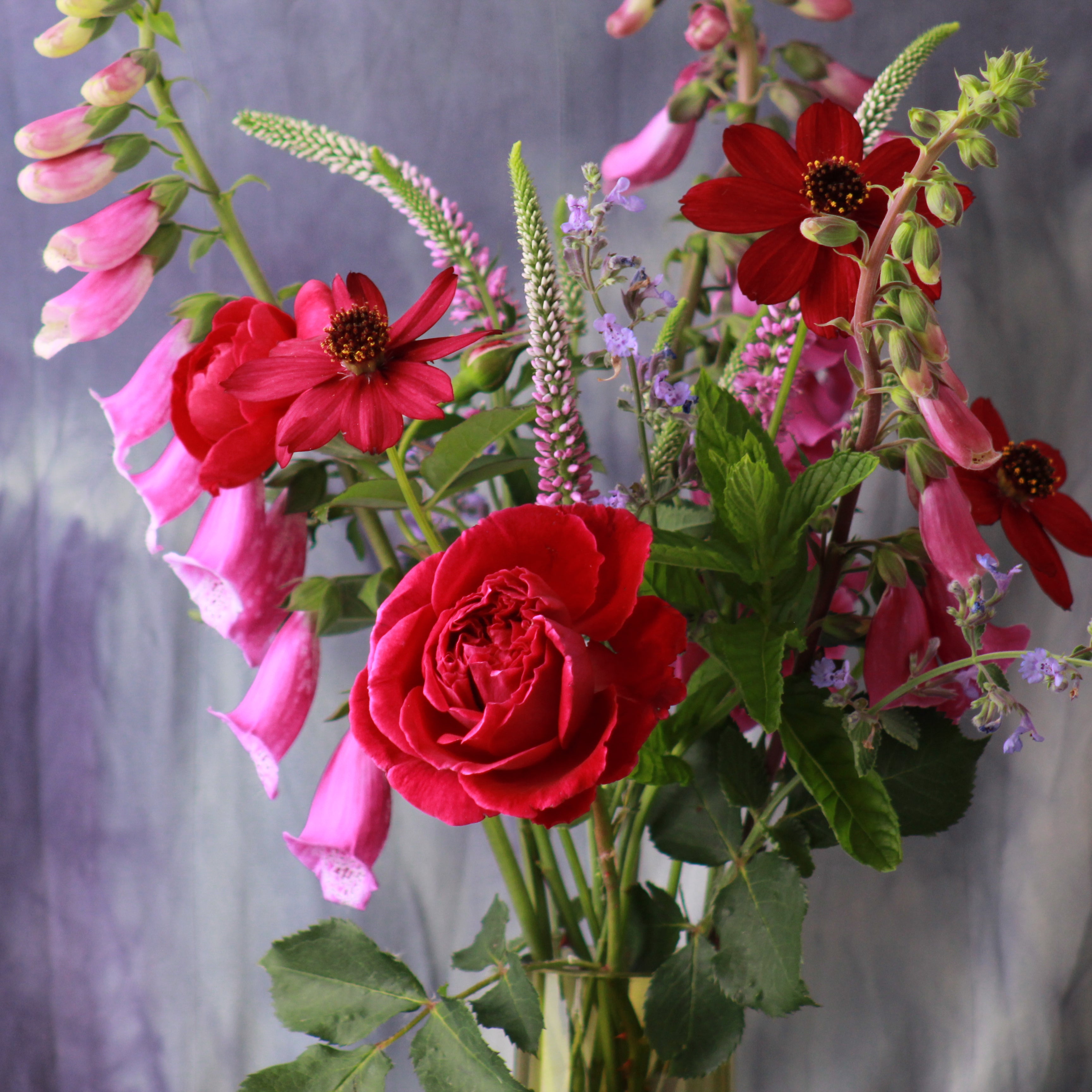 DESIGNER SPOTLIGHT- HEATHER