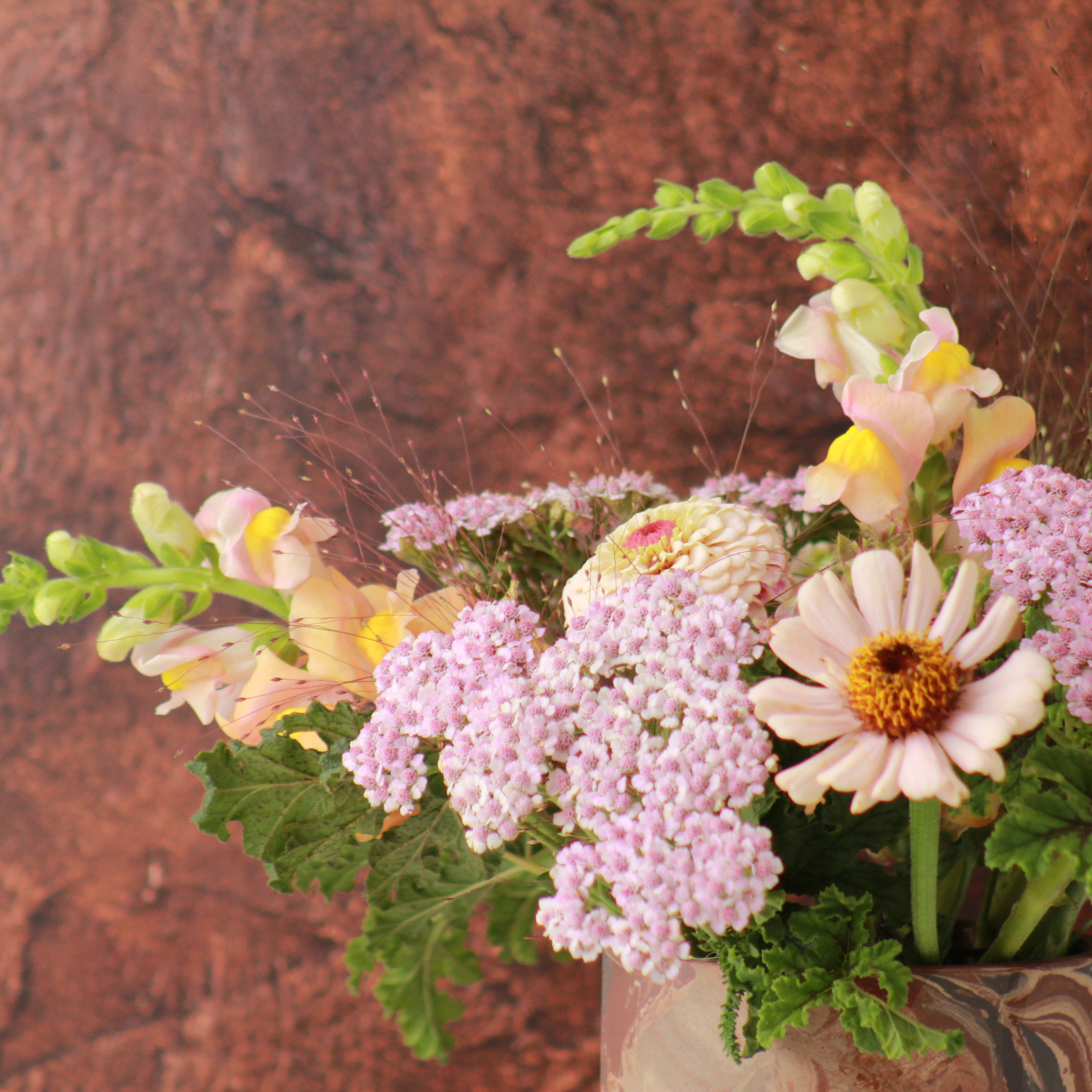 PRIMROSE