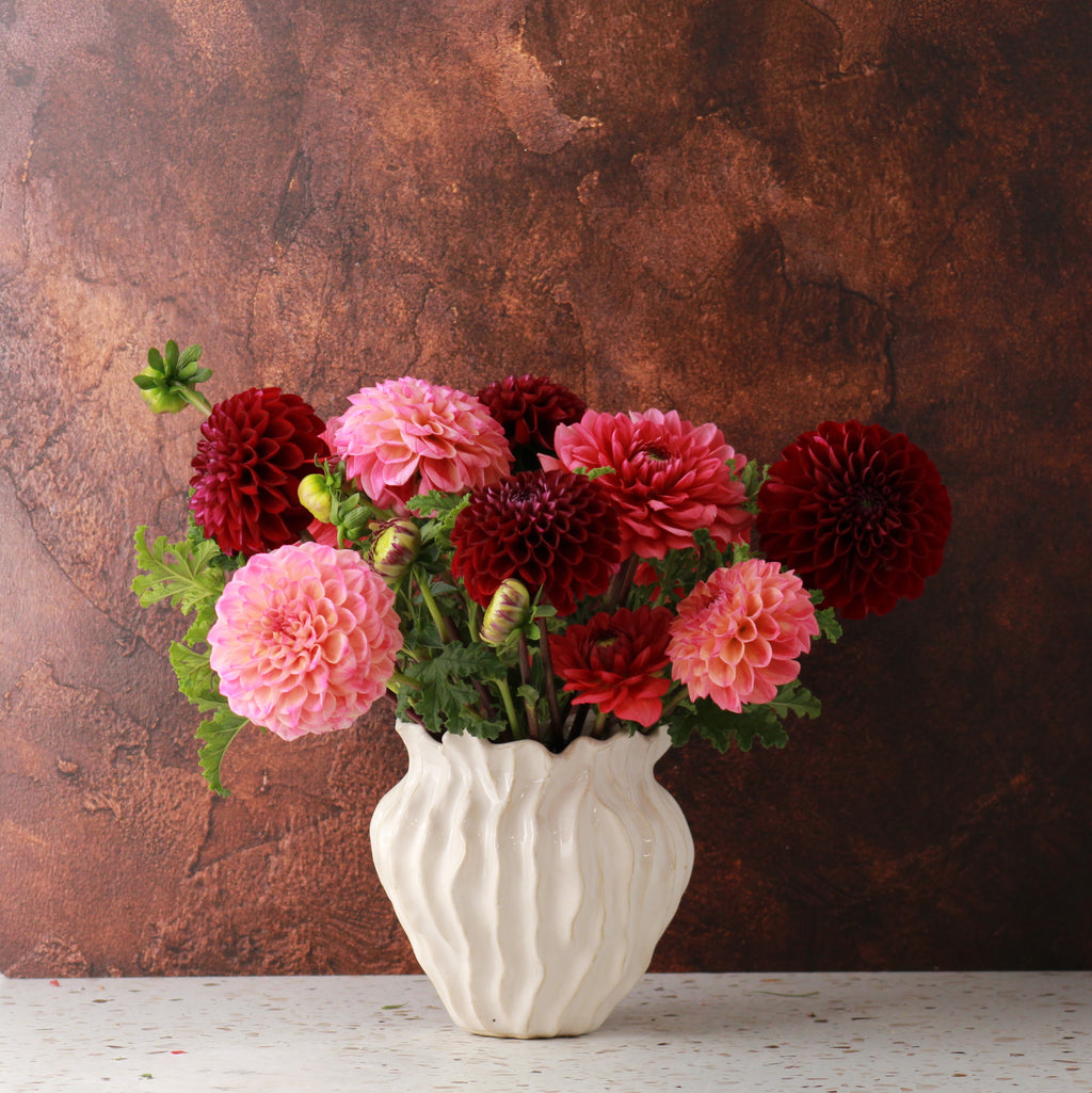 DAHLIA SIGNATURE