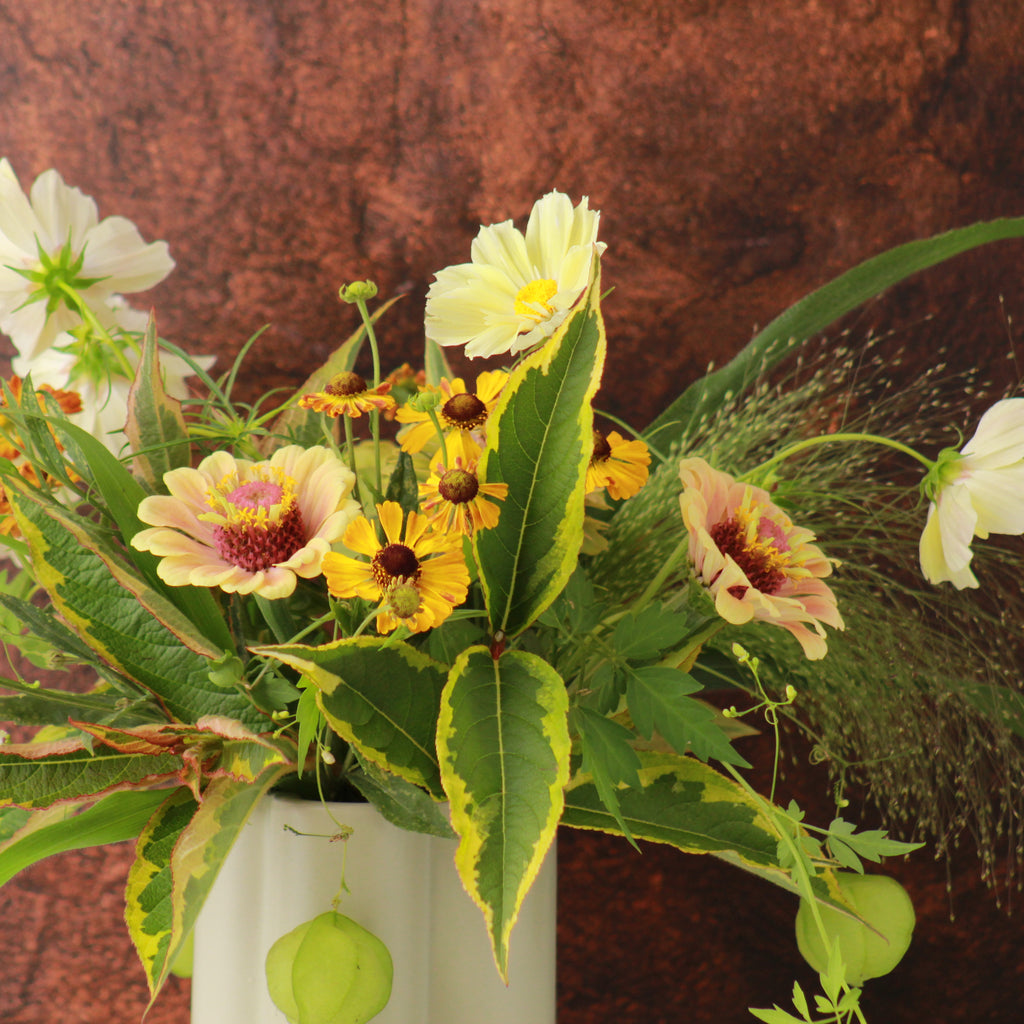 DESIGNER SPOTLIGHT- HEATHER