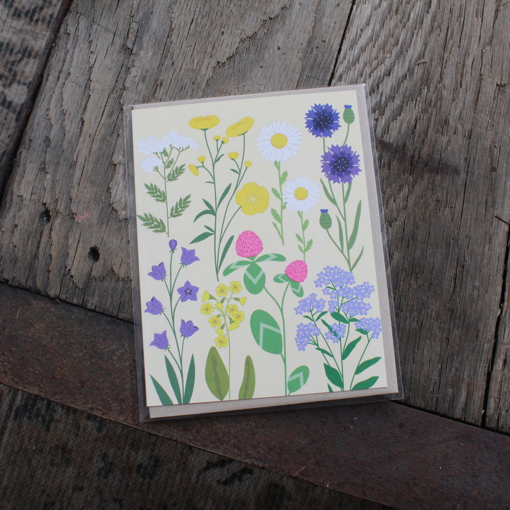 BLANK OUTSIDE CARDS