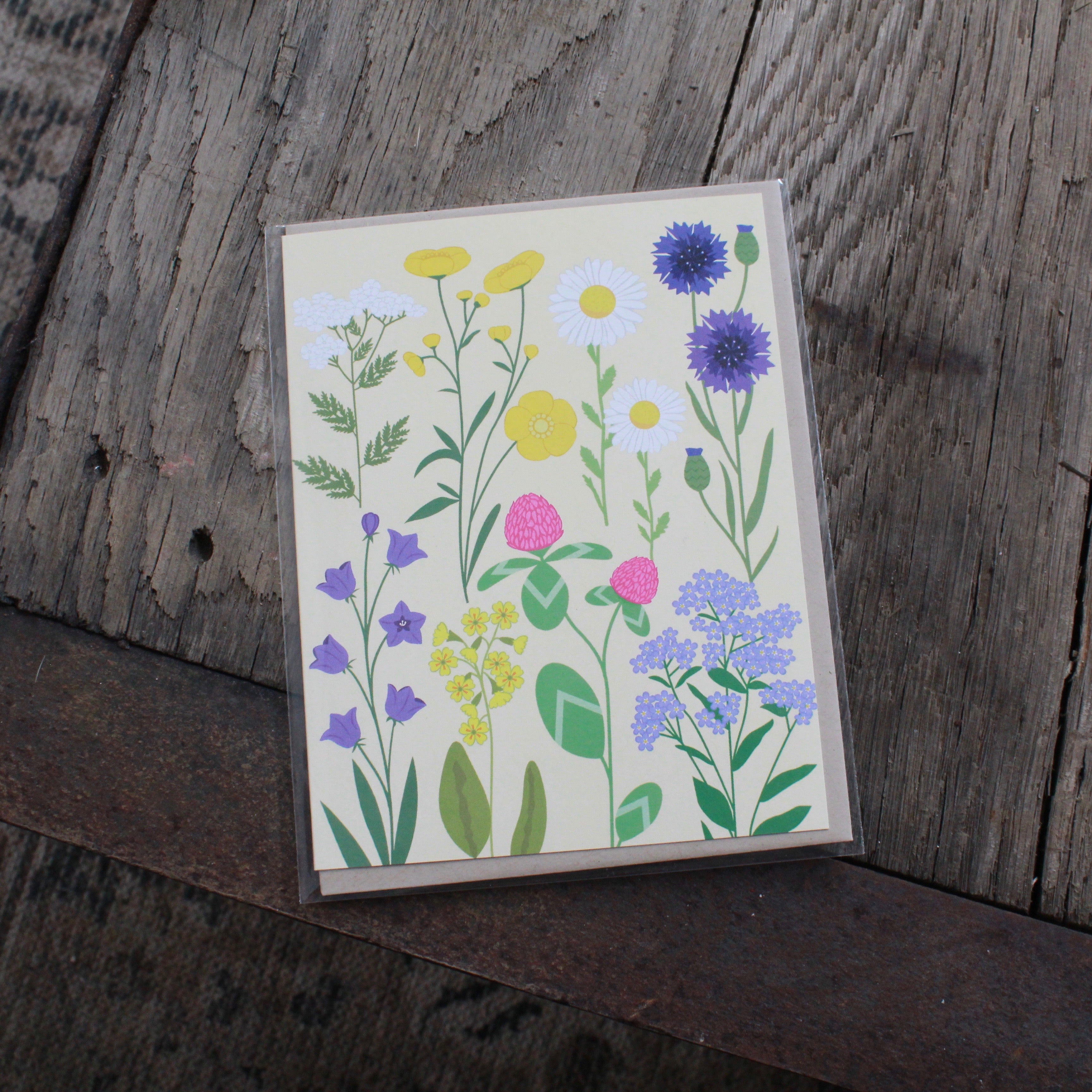 BLANK OUTSIDE CARDS