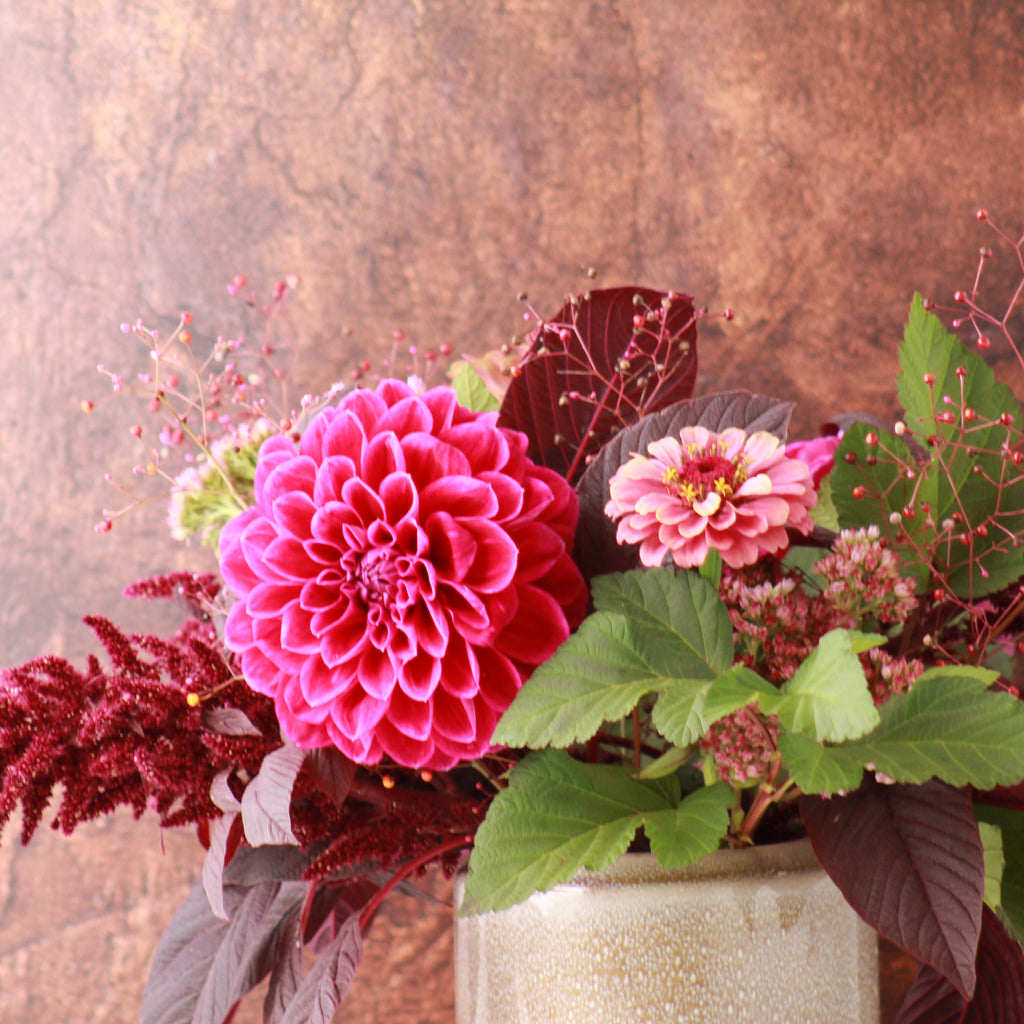 DESIGNER SPOTLIGHT- SIERRA