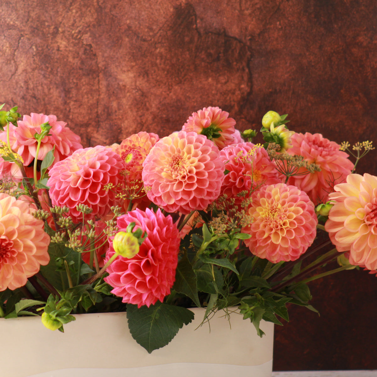 DAHLIA BOAT