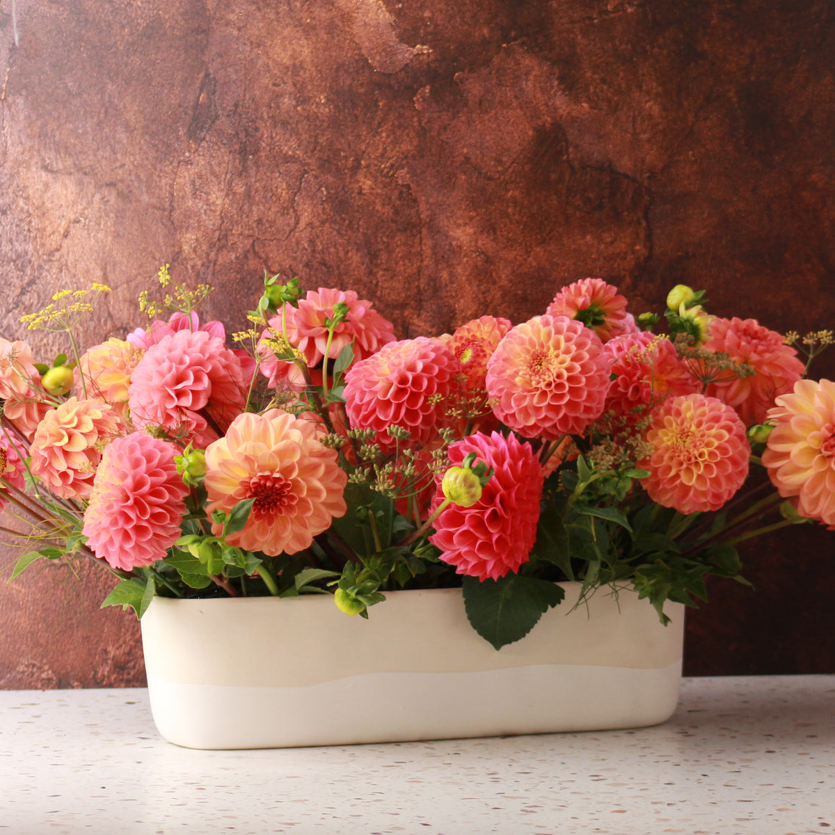 DAHLIA BOAT