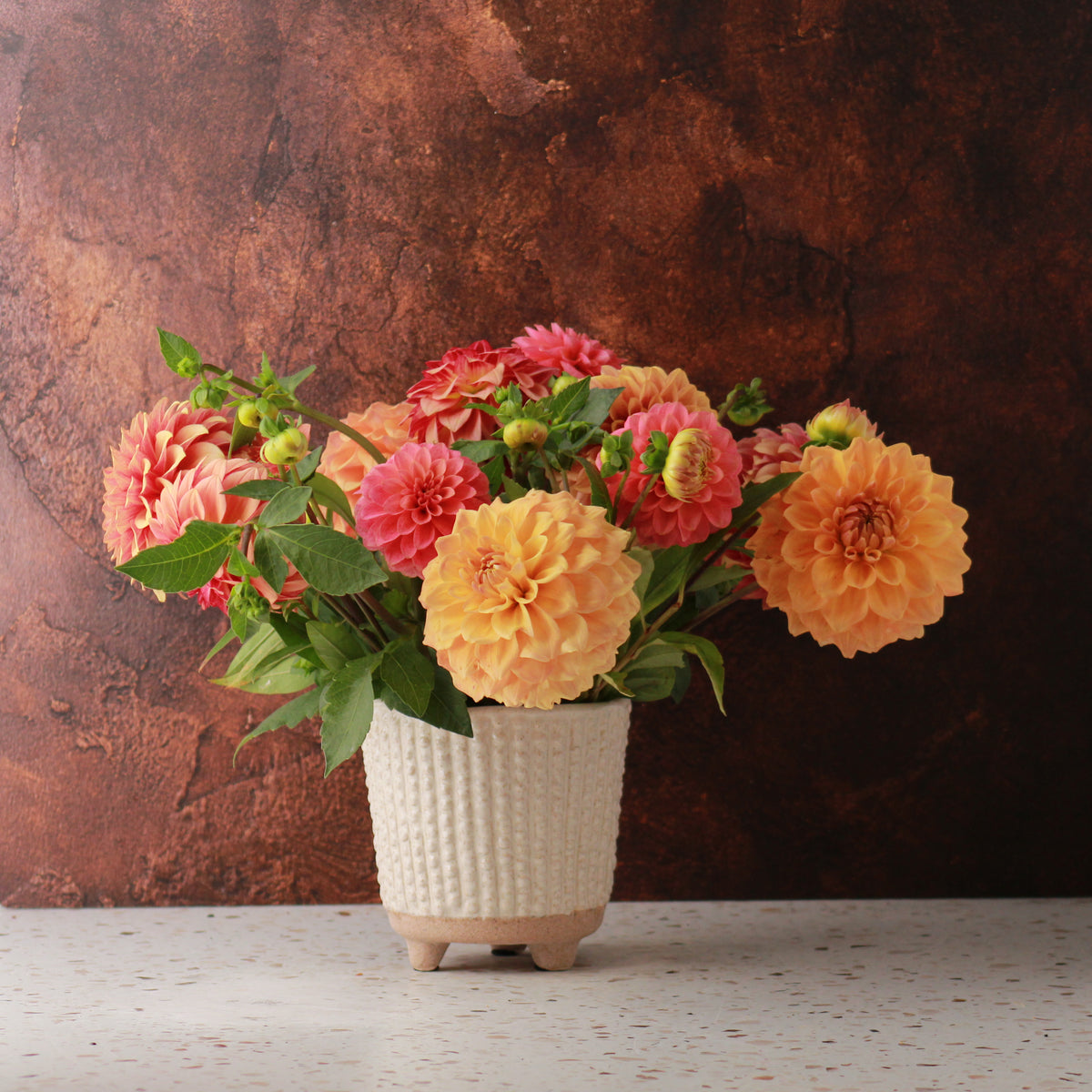 DAHLIA SIGNATURE