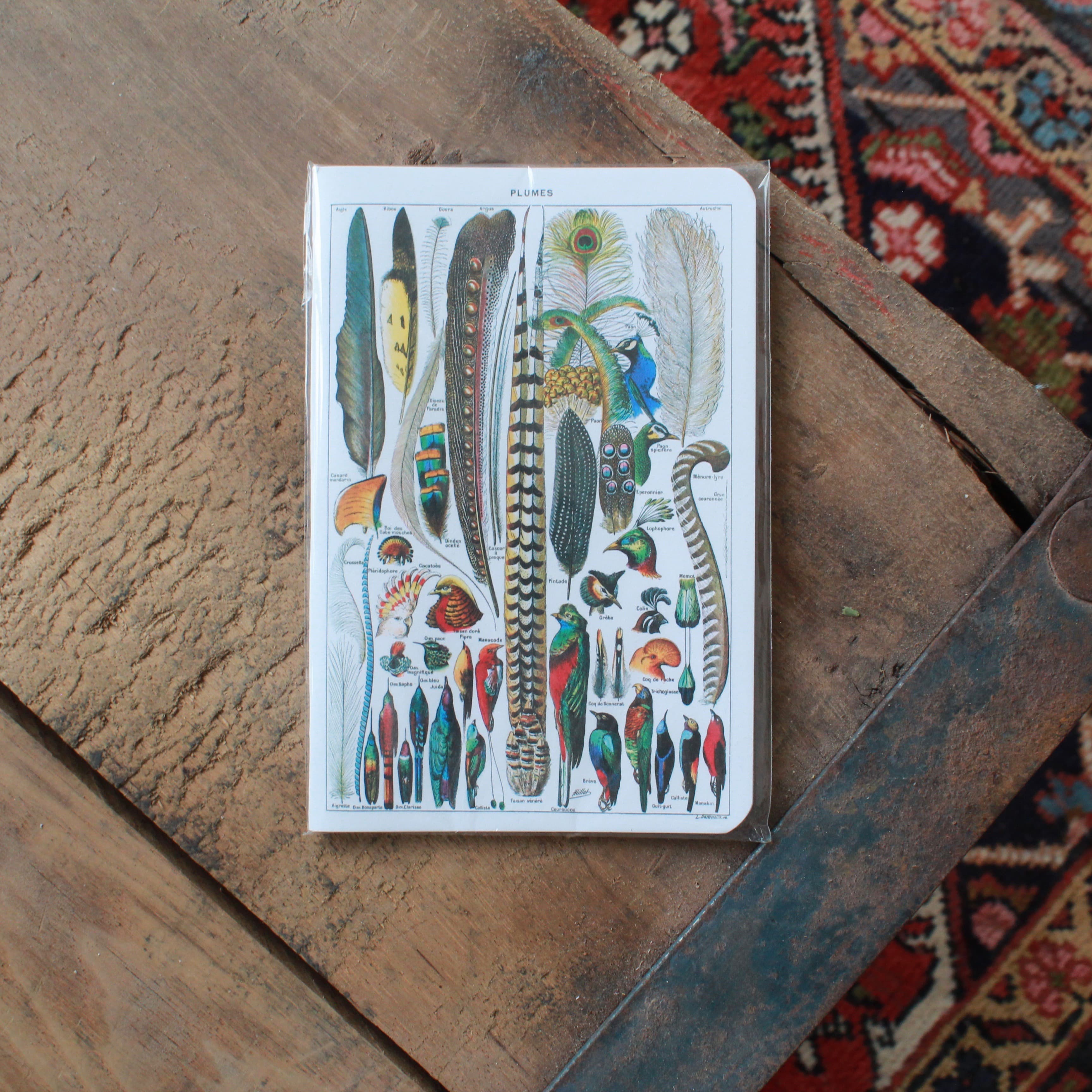 PLUMES 4X6 NOTEBOOK