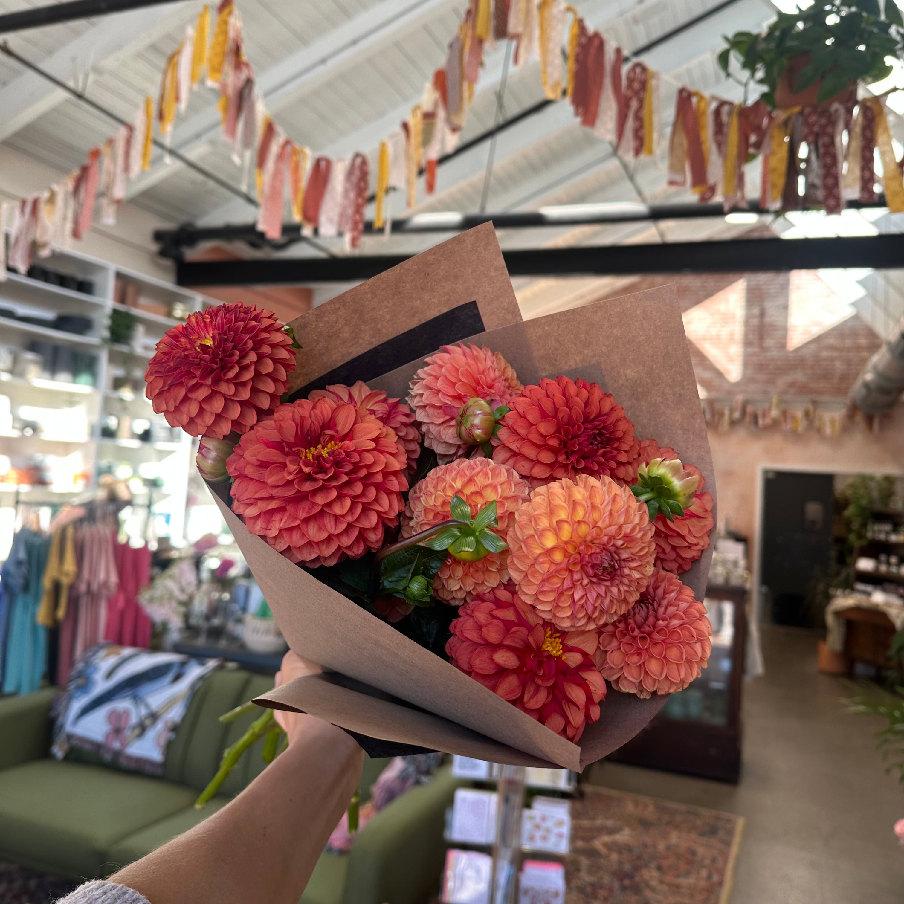 DAHLIA BUNDLE
