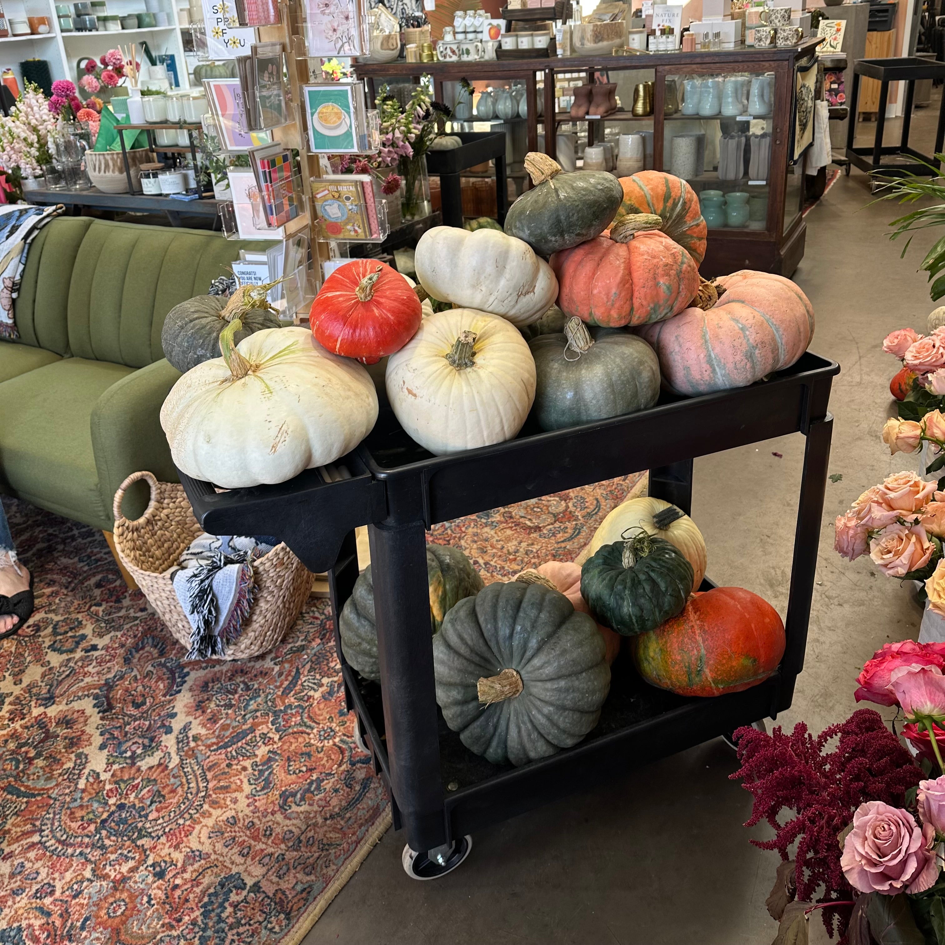 HEIRLOOM PUMPKIN