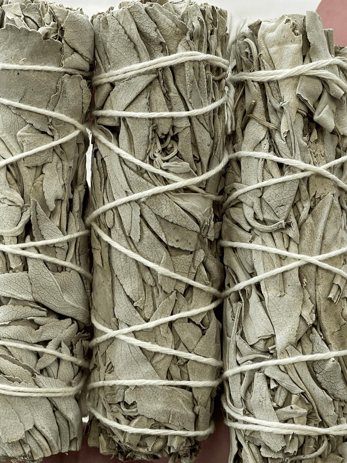 CALIFORNIA WHITE SAGE 4" BUNDLE
