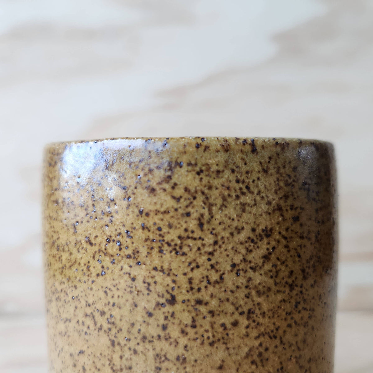 CLASSIC CERAMIC TRAVEL TUMBLER: FERN GREEN