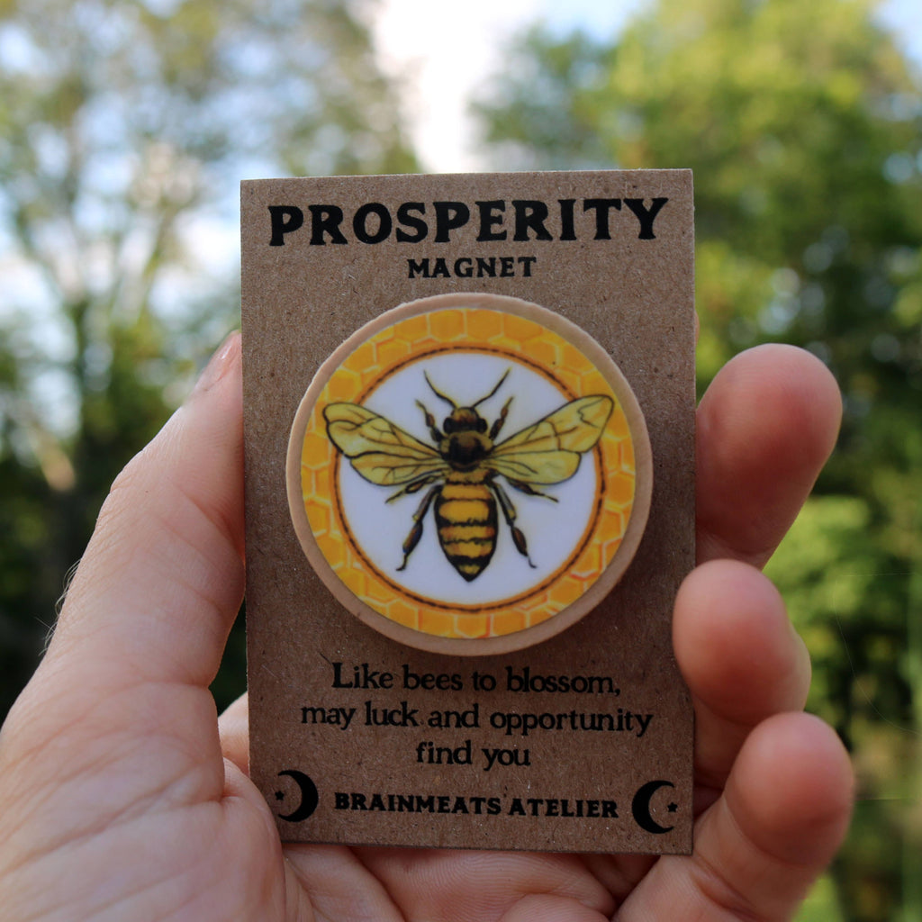 PROSPERITY MAGNET