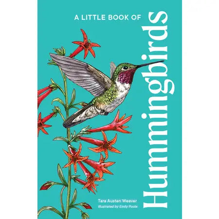 A LITTLE BOOK OF HUMMINGBIRDS
