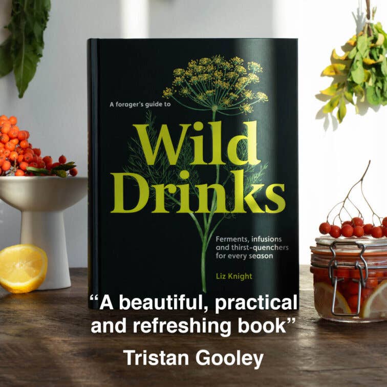 A FORAGER'S GUIDE TO WILD DRINKS