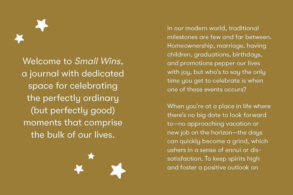 SMALL WINS