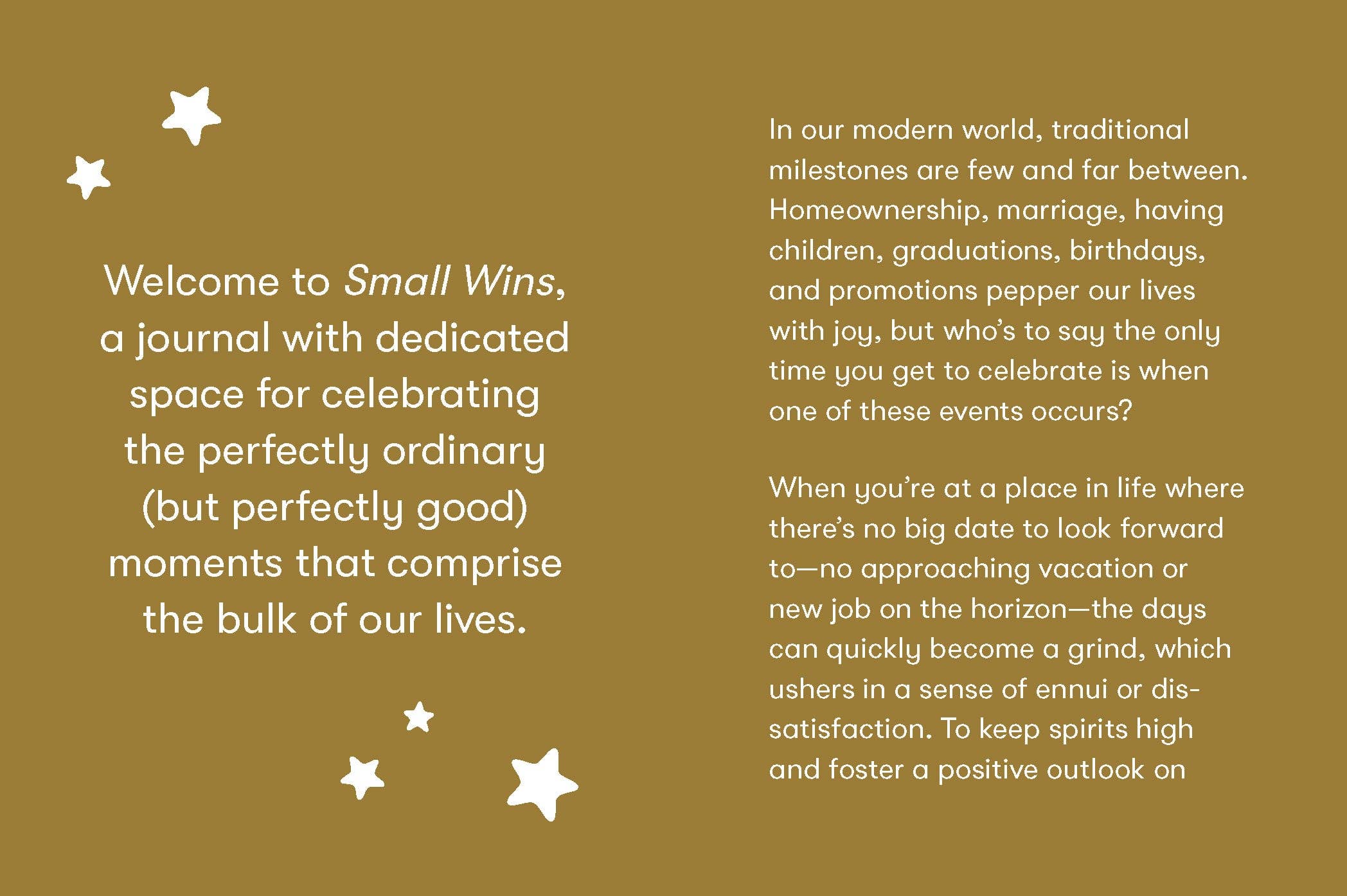 SMALL WINS