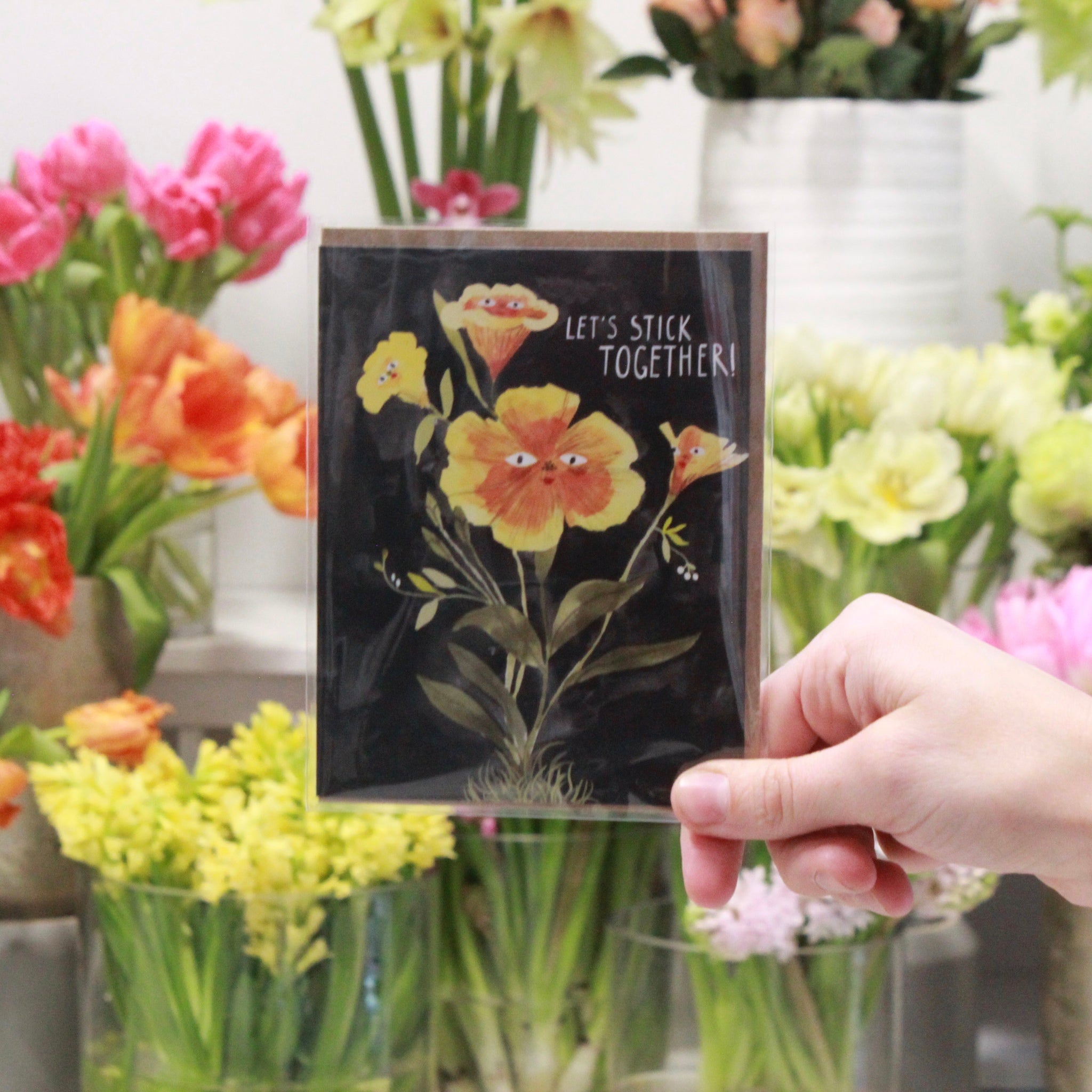 MISCELLANEOUS OCCASION CARDS