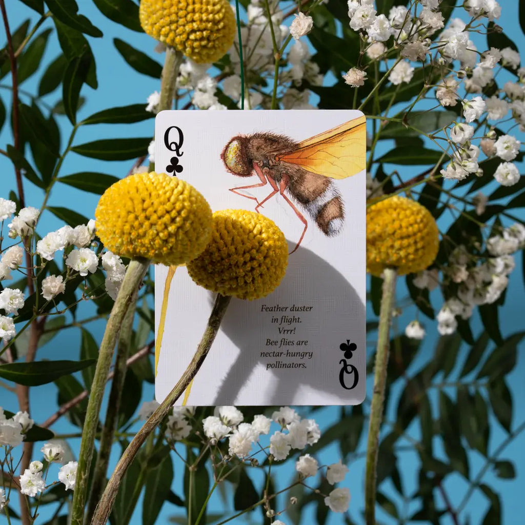 ART OF PLAY PLAYING CARDS