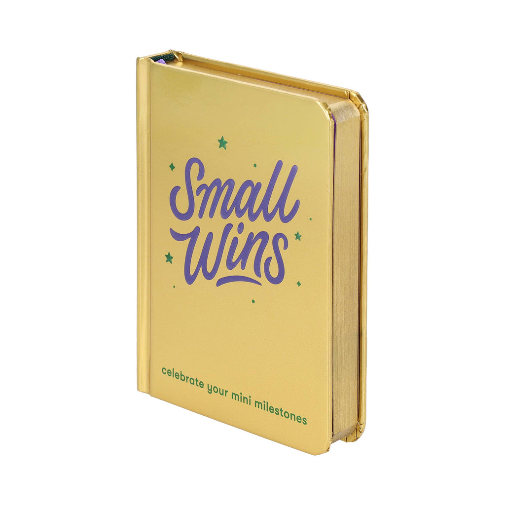 SMALL WINS