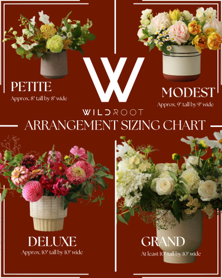 DESIGNER'S SELECTION - HOLIDAY