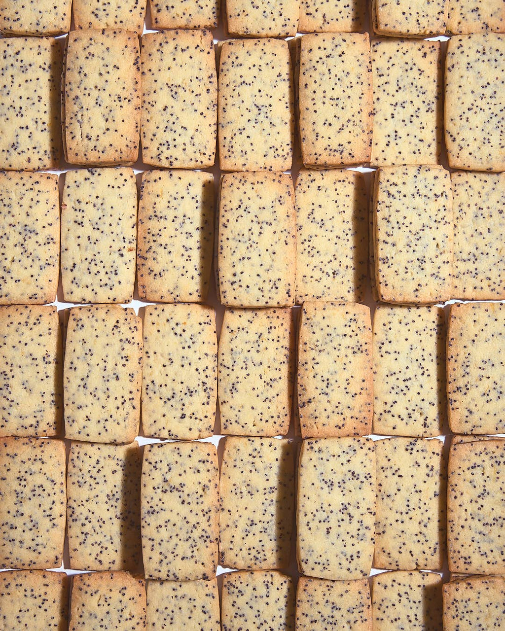 LEMON POPPY SEED SHORTBREAD (PACK OF 12)