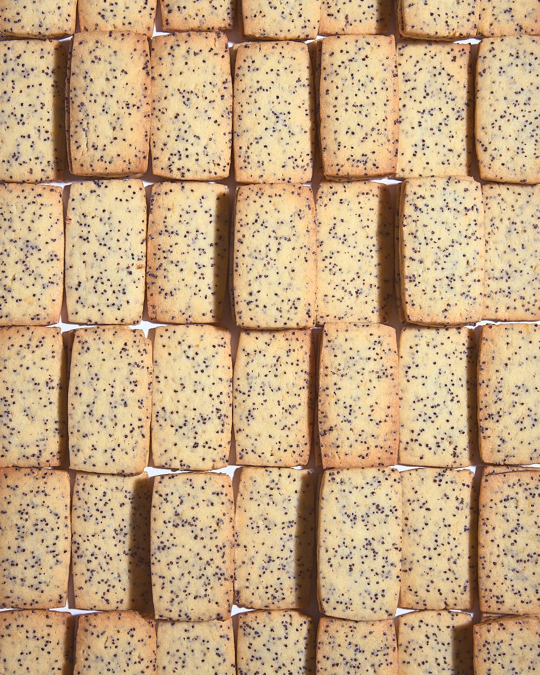 LEMON POPPY SEED SHORTBREAD (PACK OF 12)
