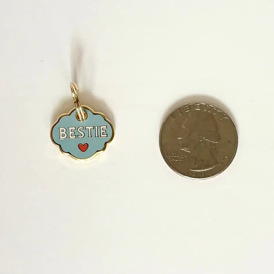 PET COLLAR CHARM