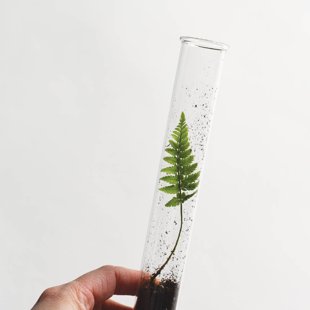 FLUTERRY MIX PENCIL TERRARIUM