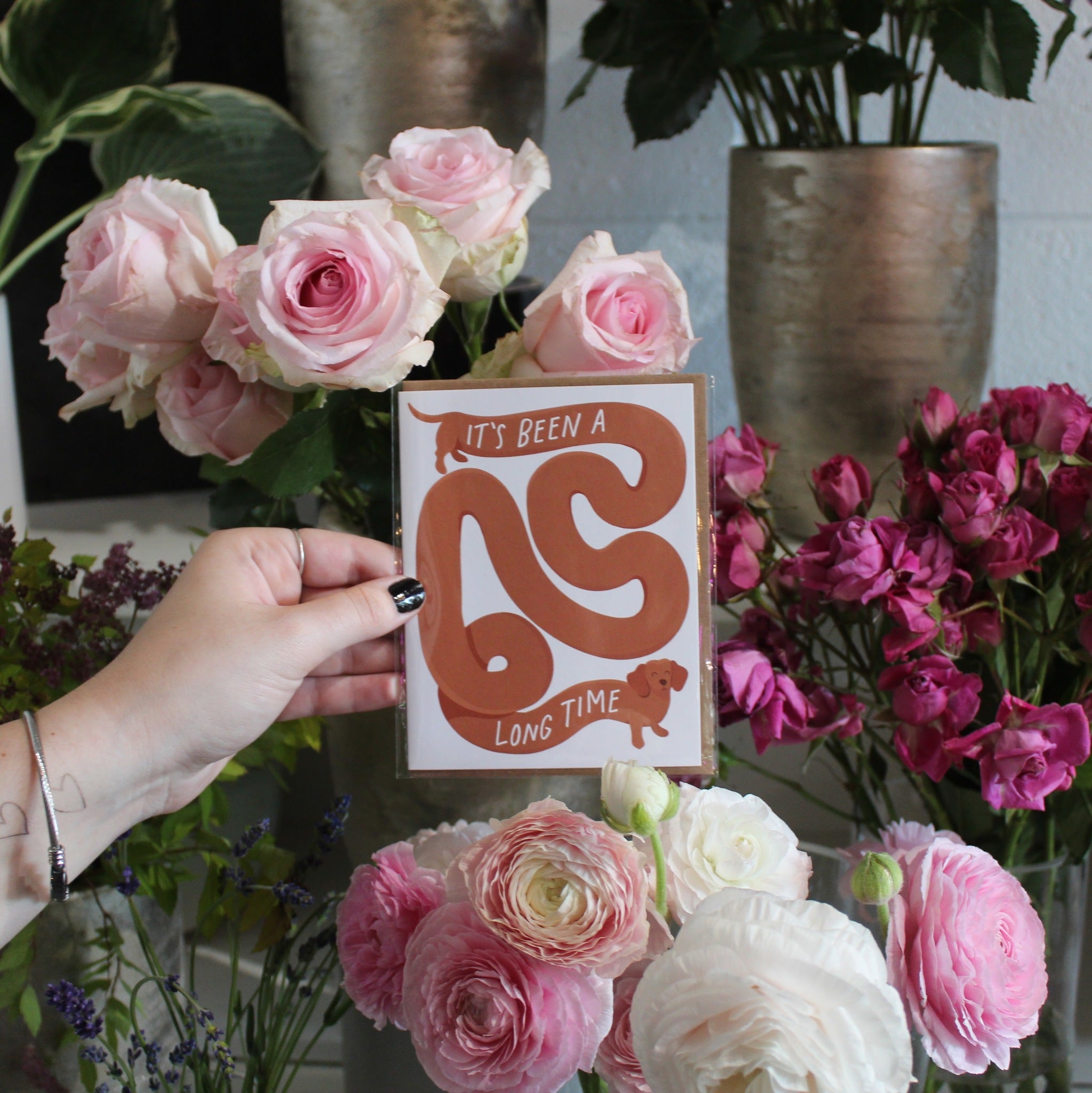 MISCELLANEOUS OCCASION CARDS