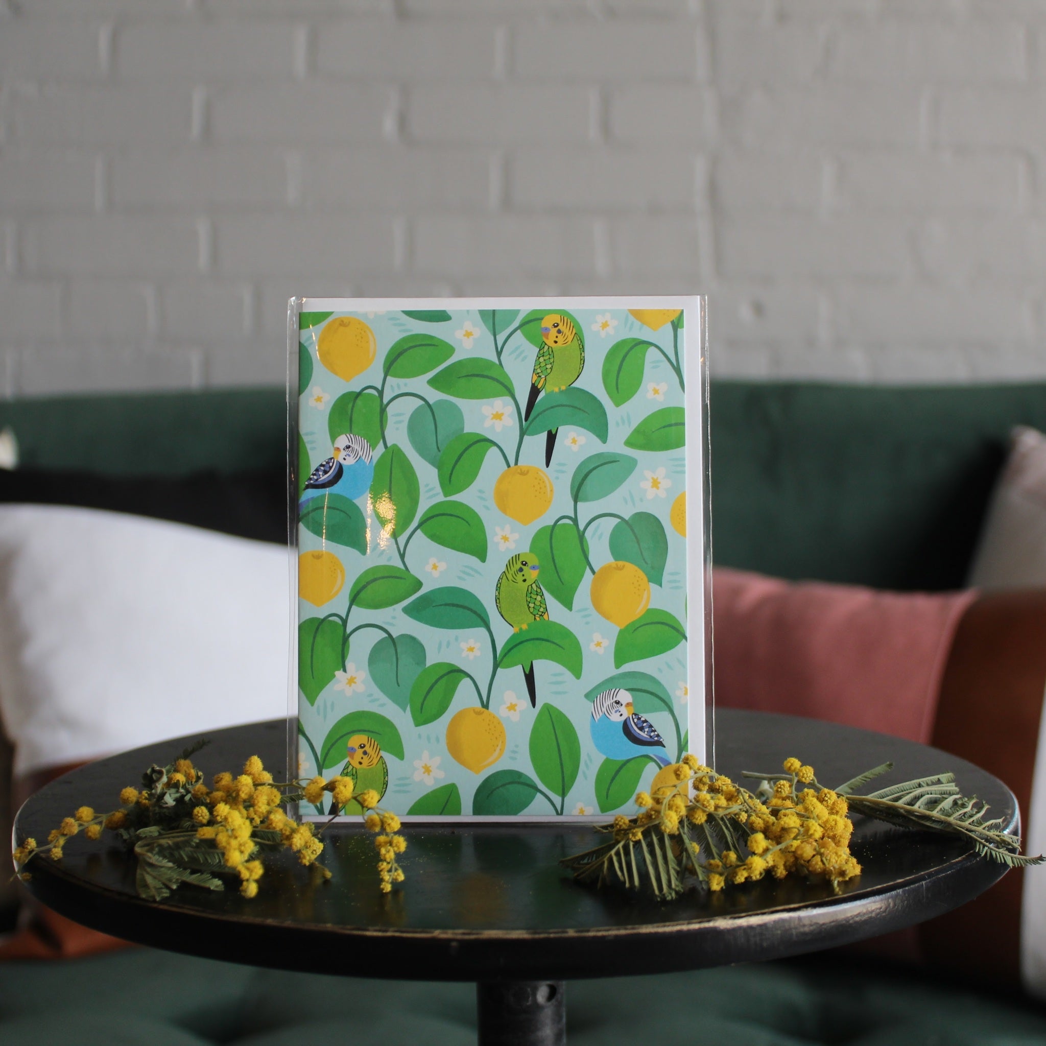 BLANK OUTSIDE CARDS