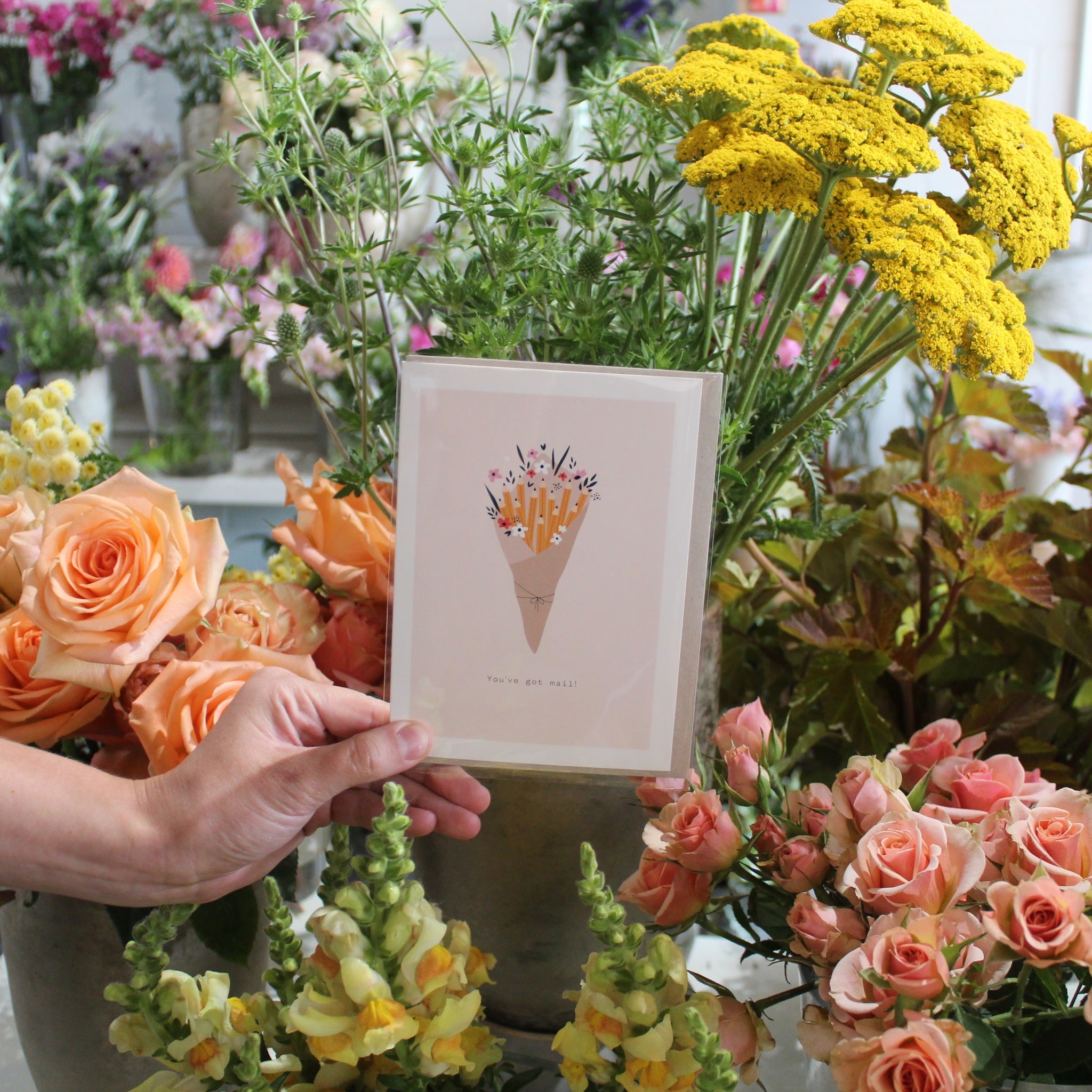 MISCELLANEOUS OCCASION CARDS