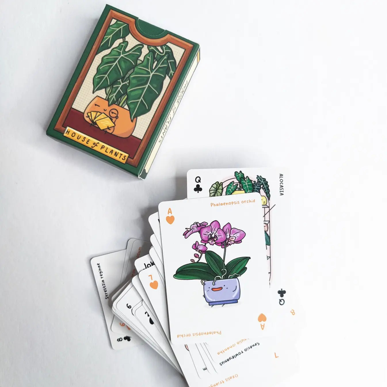 HOUSE OF PLANTS PLAYING CARDS