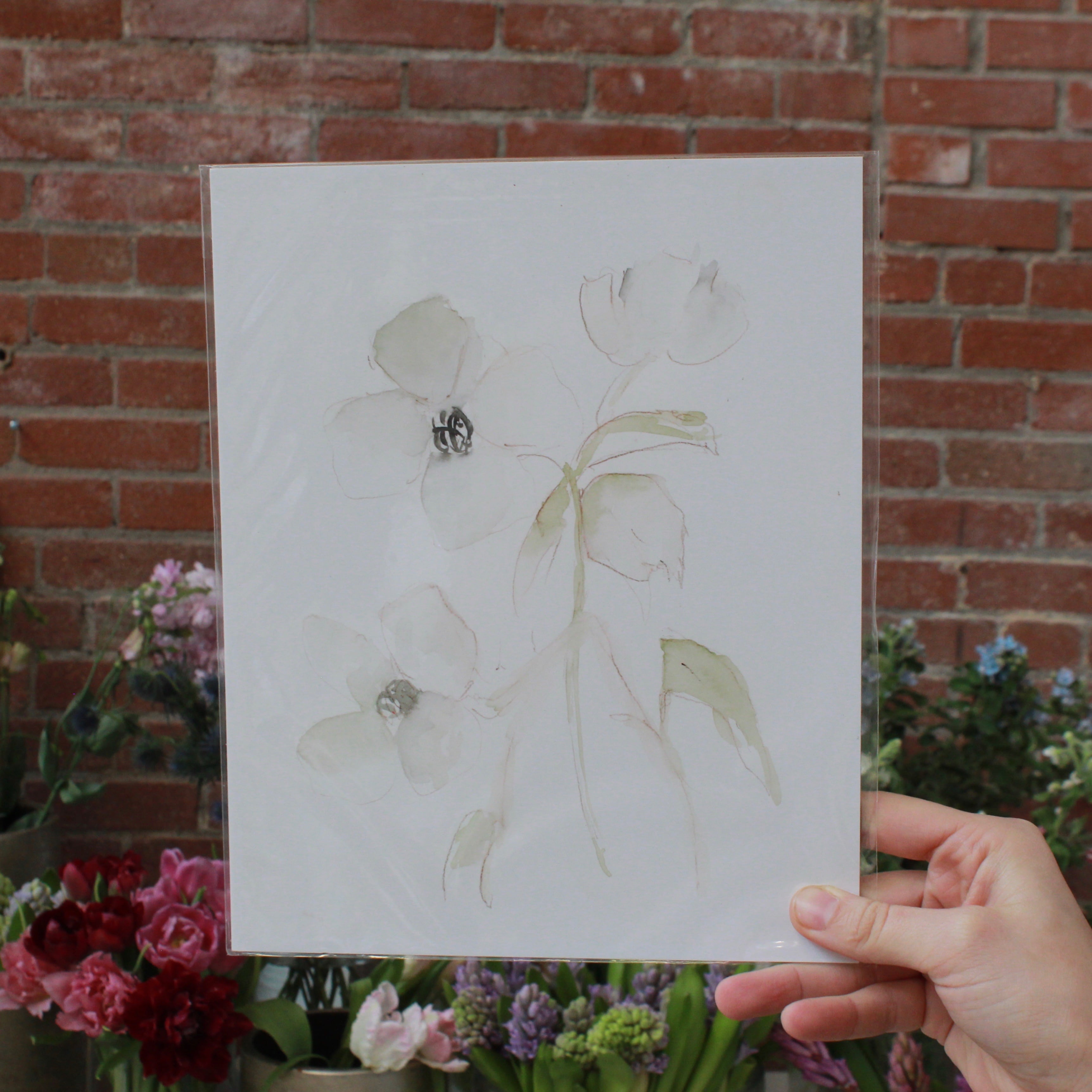 LACOTT FINE ART PRINTS