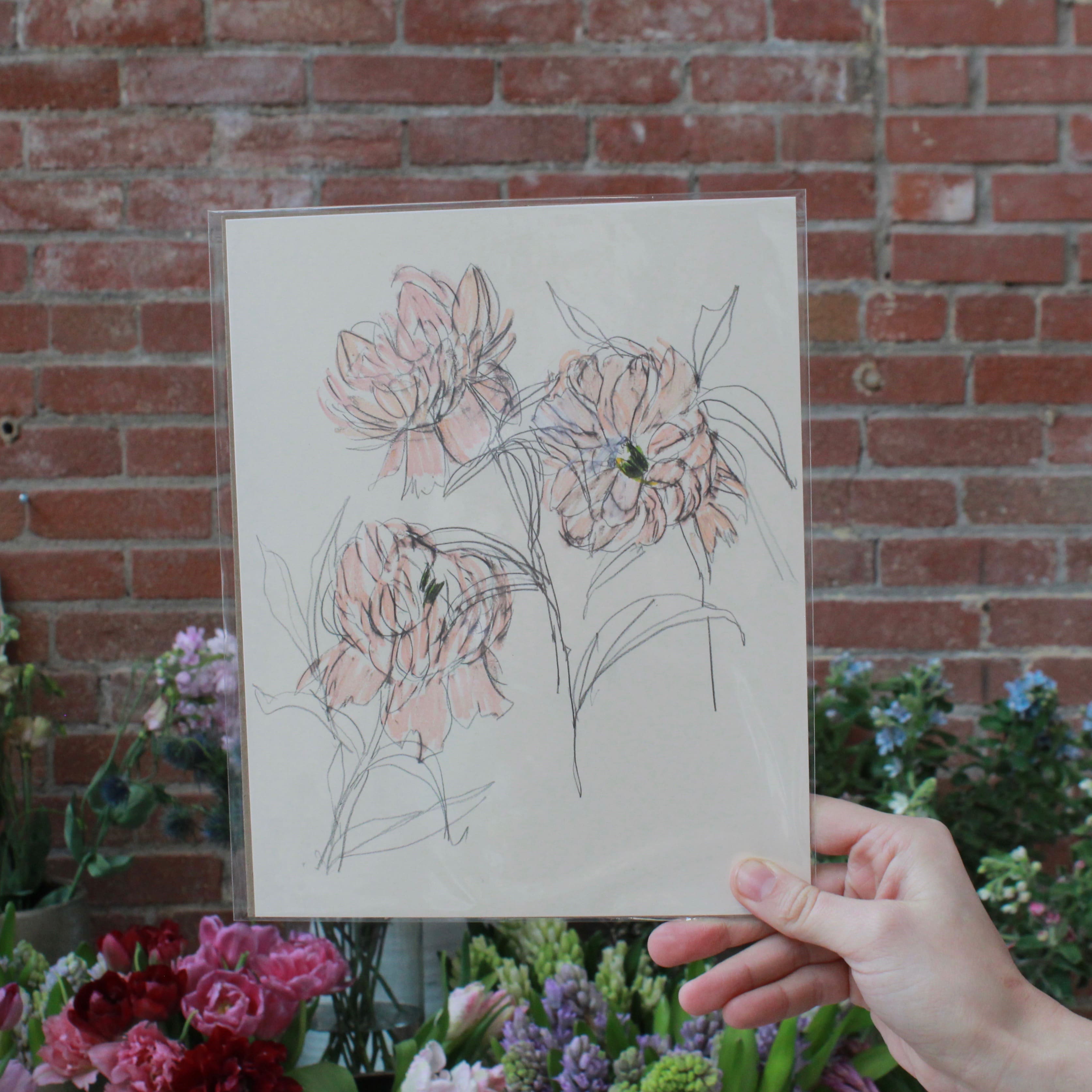 LACOTT FINE ART PRINTS