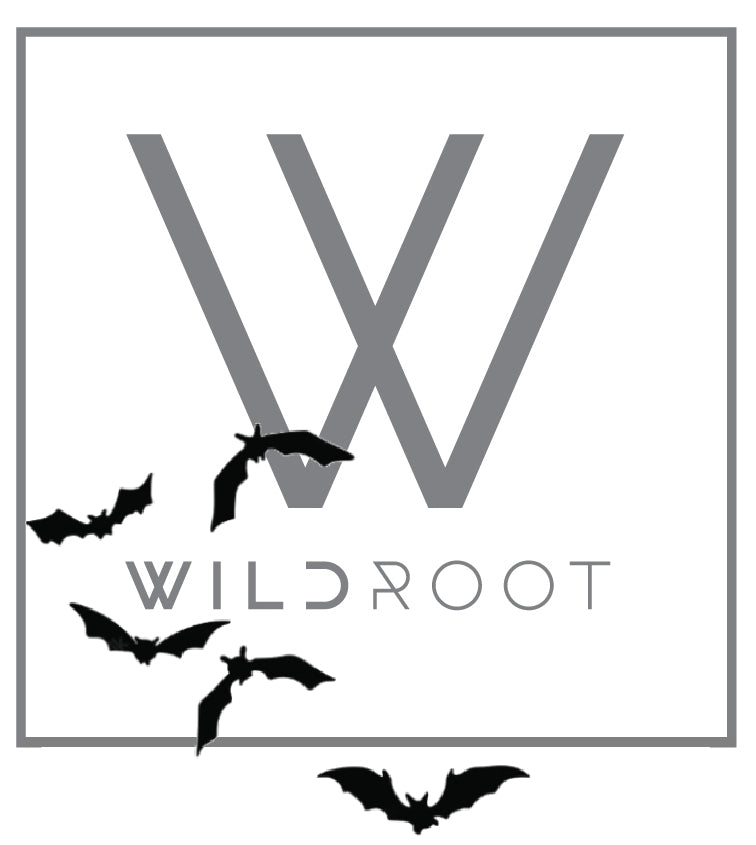 HALLOWEEN FEATURE - DESIGNER'S SELECTION