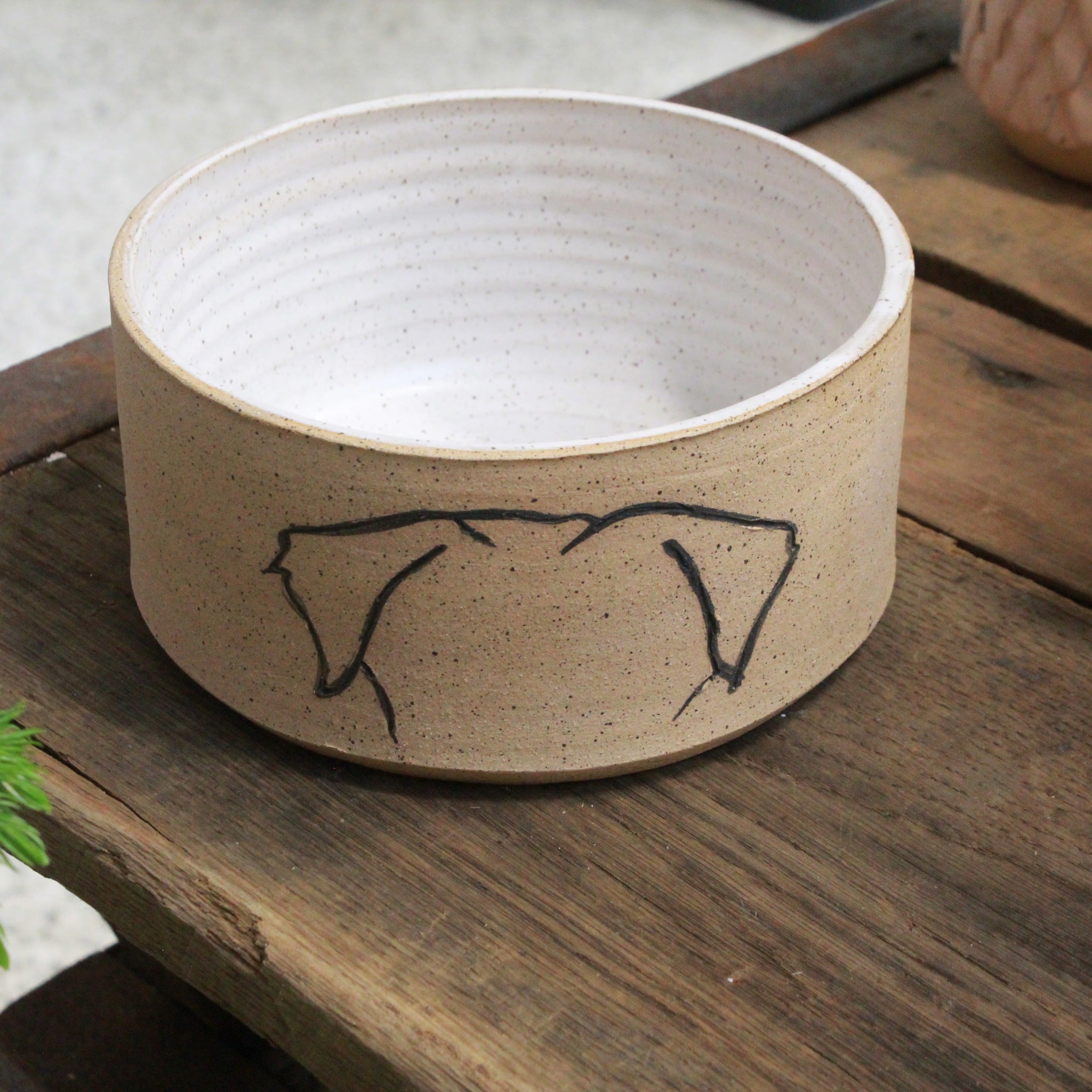 MOD DOG BOWL