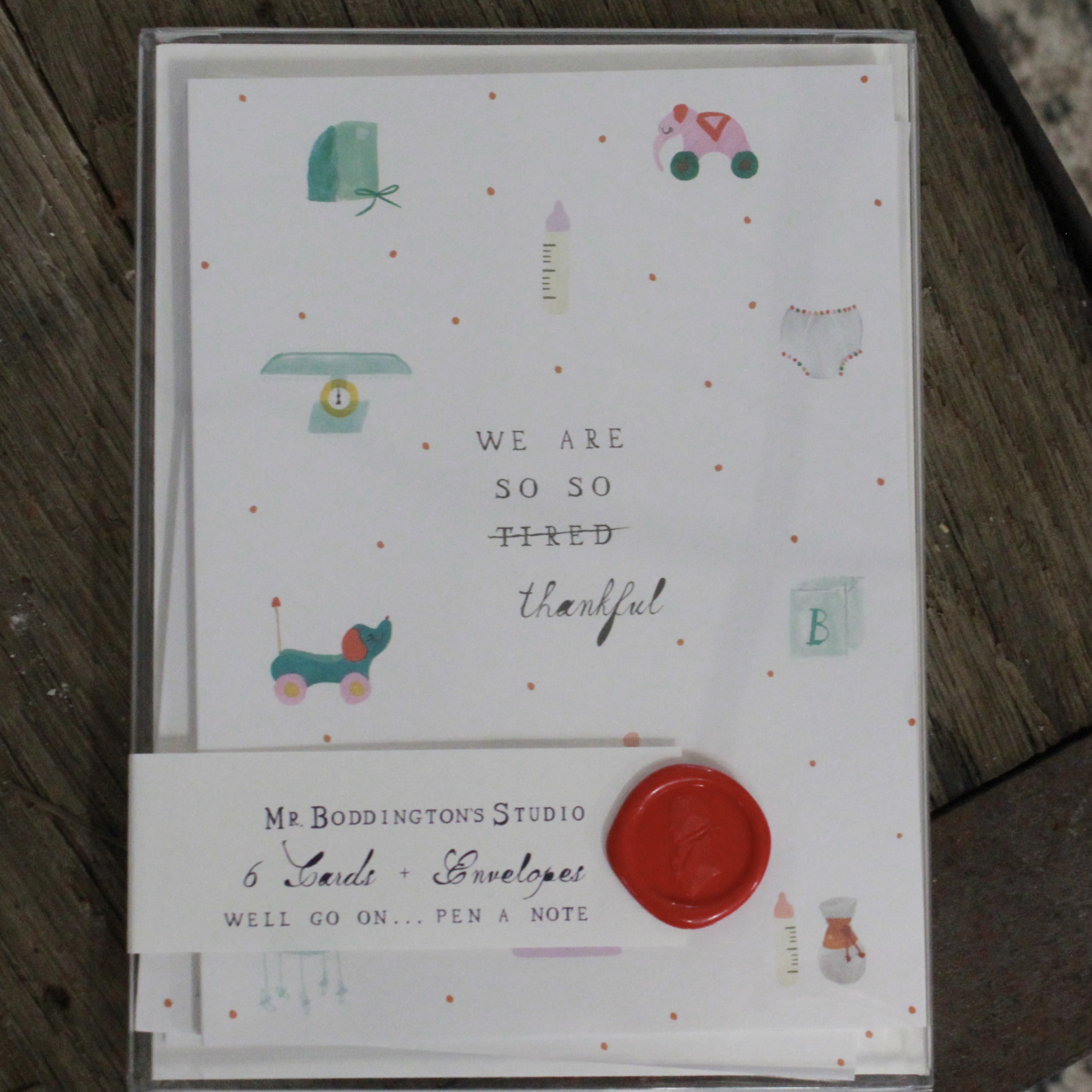 WE ARE SO THANKFUL NOTE CARDS