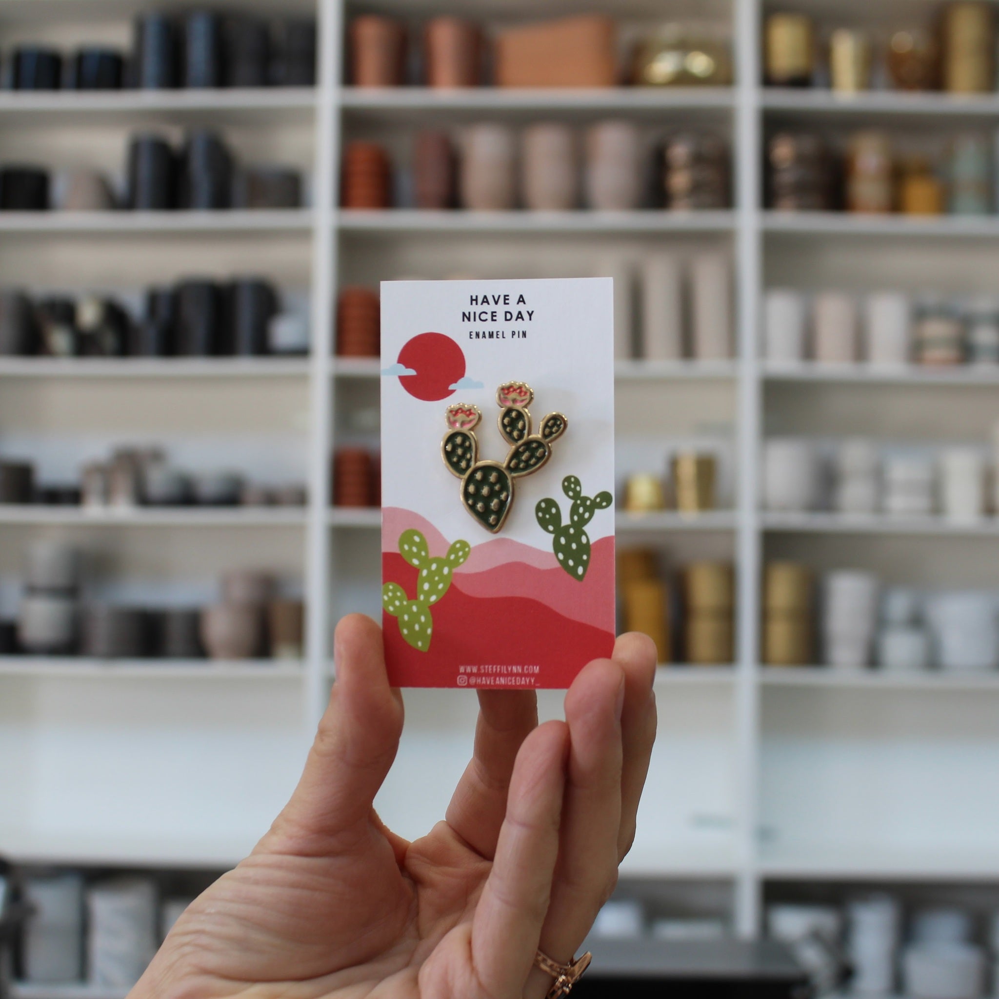PRICKLY PIN